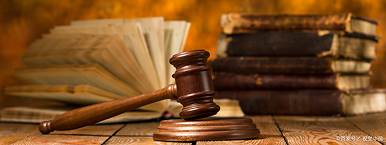 税金対策や法律相談お任せください